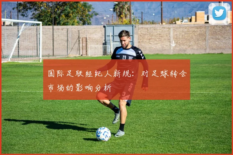国际足联经纪人新规：对足球转会市场的影响分析