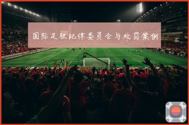 国际足联纪律委员会与处罚案例