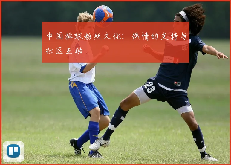 中国排球粉丝文化:热情的支持与社区互动